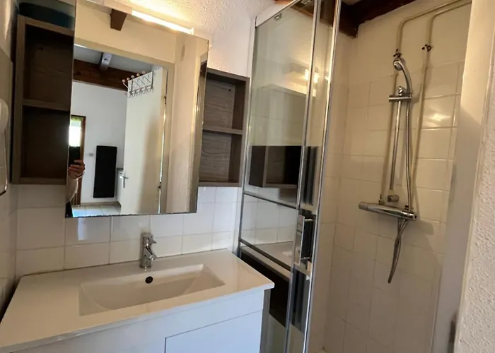 Jolie D'angle Pour 5 Couchages, Clim Sejour, Terrasse, Parking Dans Securisee Piscine Commune 400m De La Lrjp16